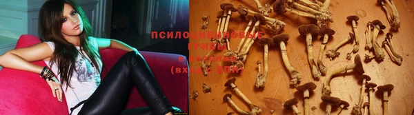 а пвп мука Покров