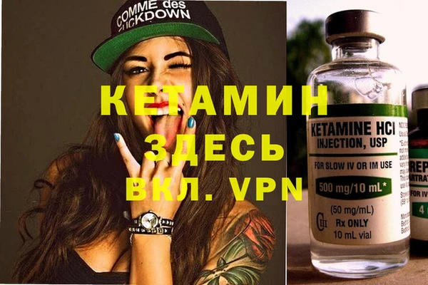 дмт Алзамай