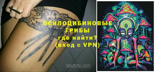 дмт Алзамай