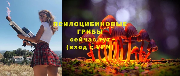 СК Алексеевка