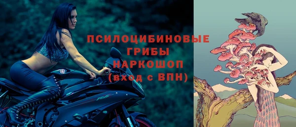 дмт Алзамай