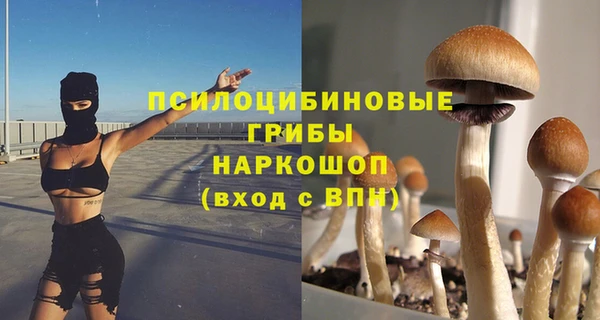 дмт Алзамай