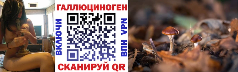 Галлюциногенные грибы прущие грибы  гидра ССЫЛКА  Беслан 